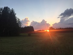 Abendsonne